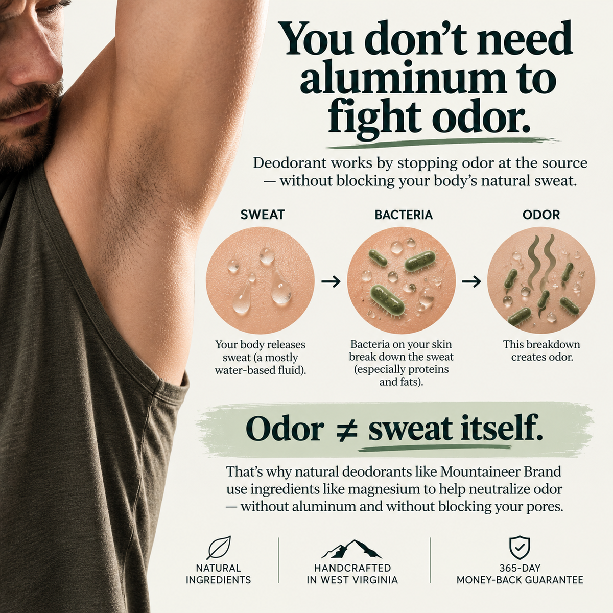 Sweat bacteria and body odor explanation